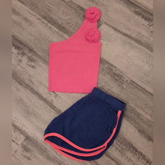 Sundry By Anthropology Pink and Blue Dolphin Cut Striped Shorts With Pockets - Picture 1 of 4